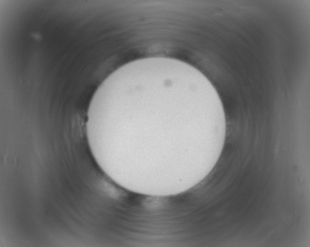 X0000081280142200702082002