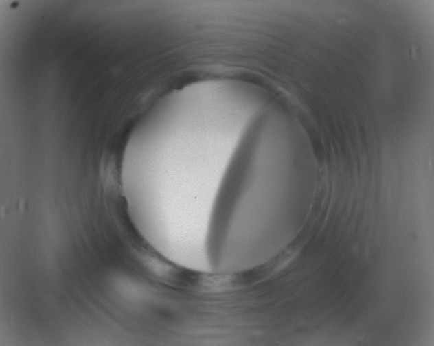 X0000081280143200702082002