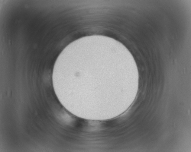 X0000081280144200702082002