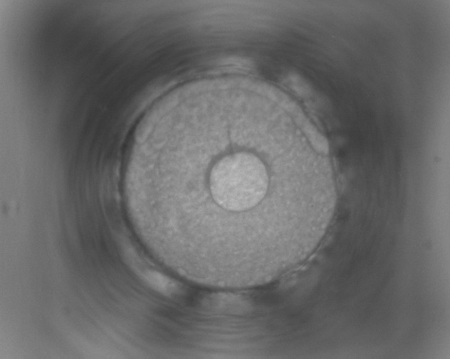 X0000081280146200702082001