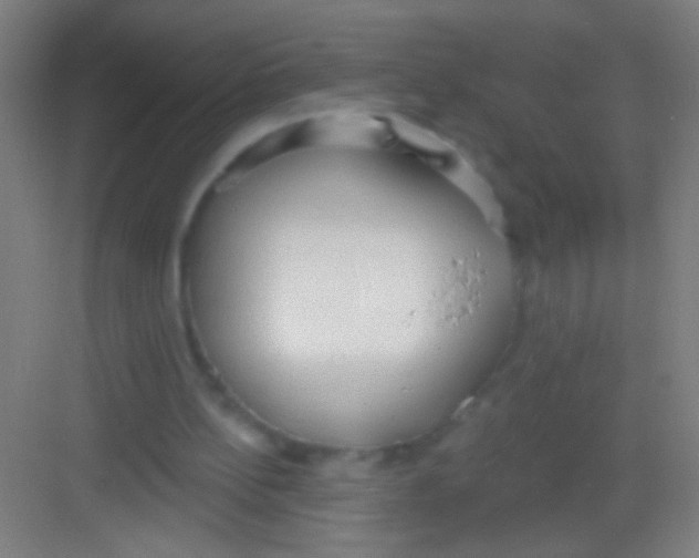 X0000081280148200702082001