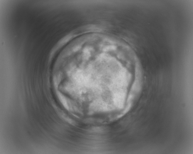 X0000081280149200702082001