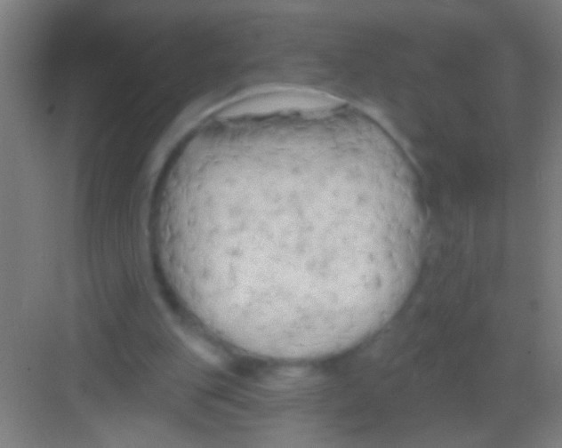 X0000081280151200702082001