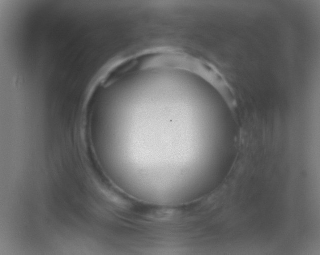 X0000081280152200702082002