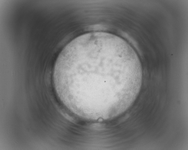 X0000081280153200702082002