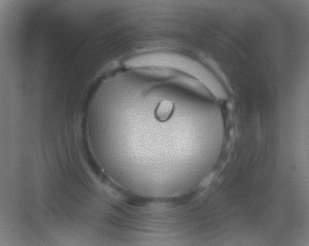 X0000081280154200702082002