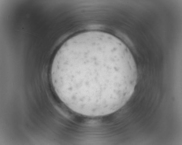 X0000081280155200702082002