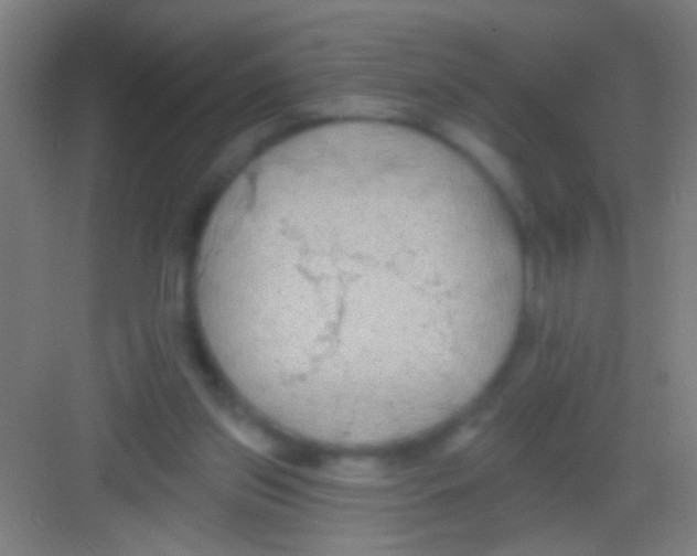 X0000081280157200702082002