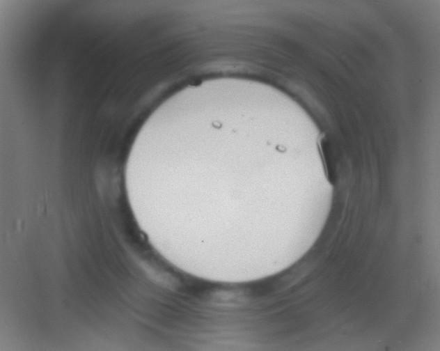 X0000081280160200702082002