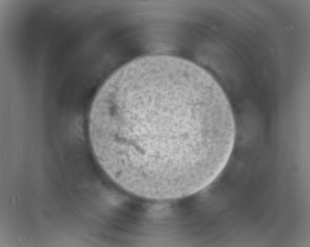 X0000081280162200702082002