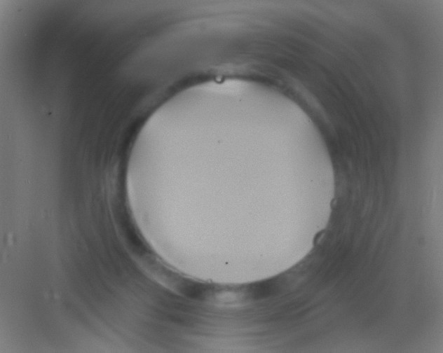 X0000081280163200702082002