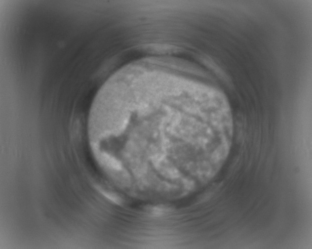 X0000081280165200702082002