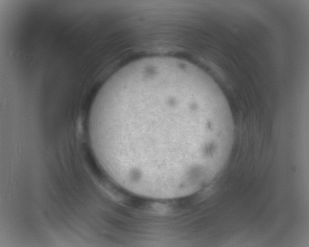 X0000081280166200702082002