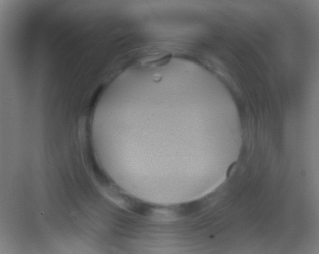 X0000081280167200702082002