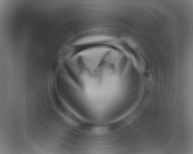 X0000081280168200702082002