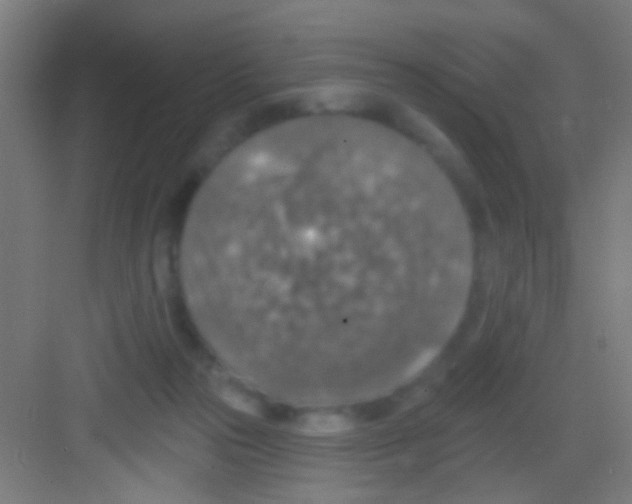 X0000081280169200702082002