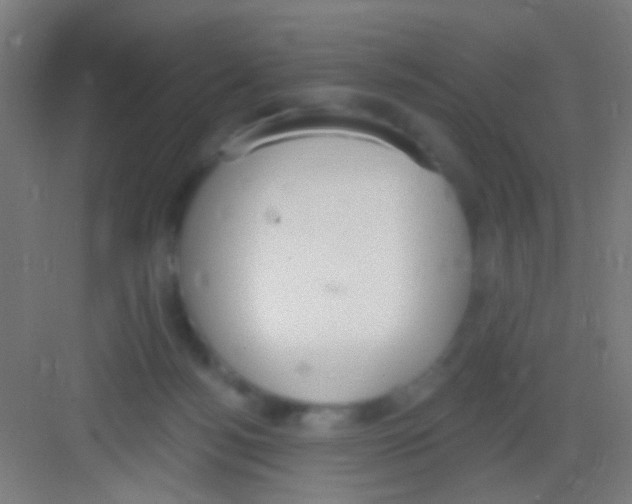 X0000081280172200702082002