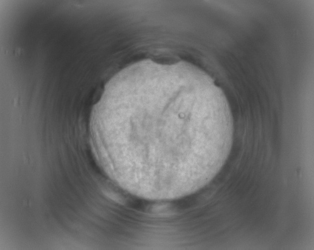 X0000081280173200702082002