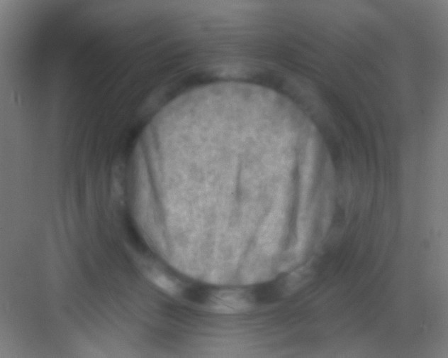 X0000081280175200702082002