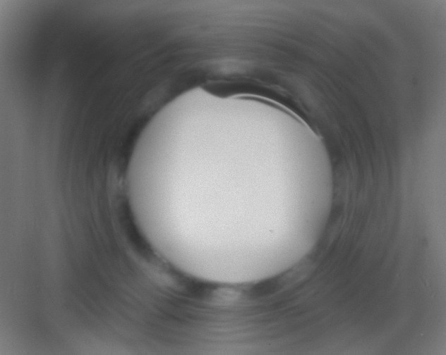 X0000081280176200702082002