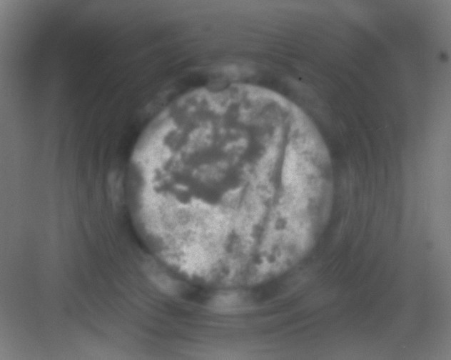 X0000081280177200702082002