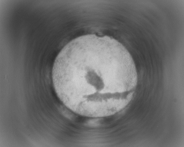 X0000081280178200702082002