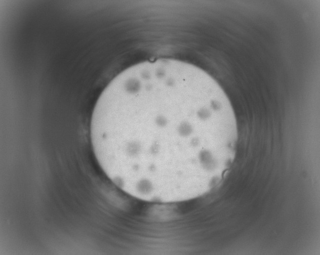 X0000081280179200702082002