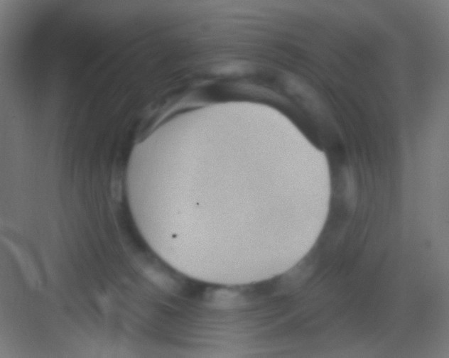 X0000081280180200702082002