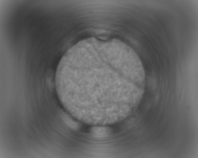 X0000081280181200702082002