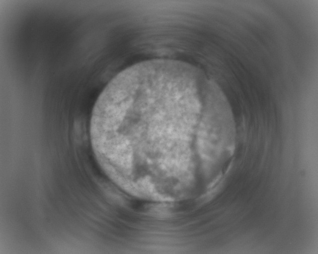 X0000081280182200702082002