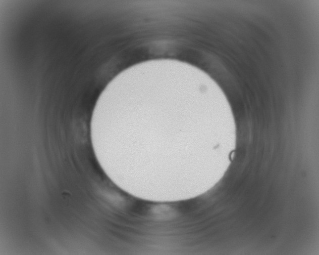 X0000081280183200702082002