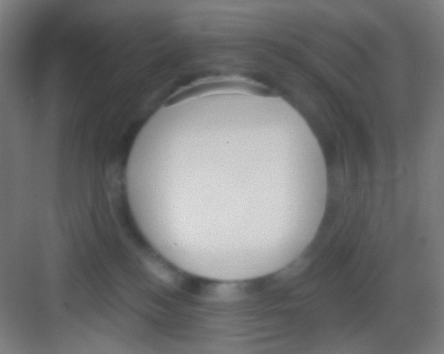 X0000081280184200702082002