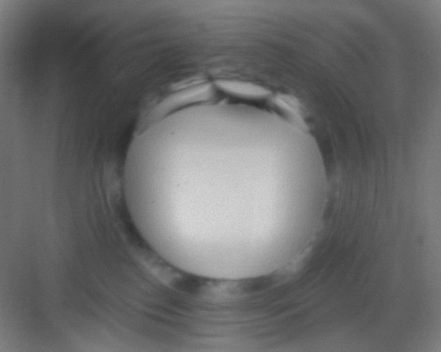 X0000081280186200702082002