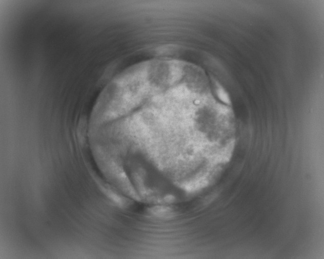 X0000081280189200702082002