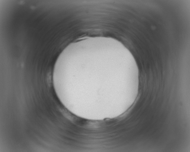 X0000081280190200702082002