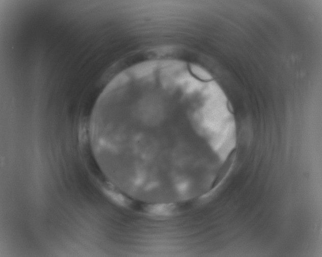 X0000081280191200702082002