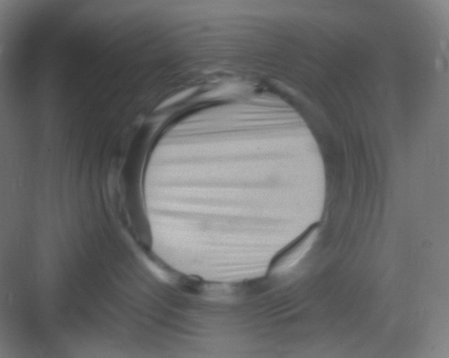 X0000081280192200702082002