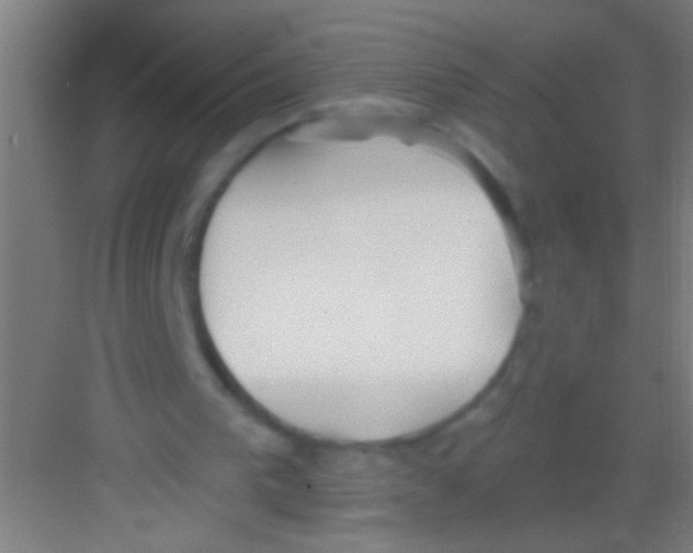 X0000081280193200702082001