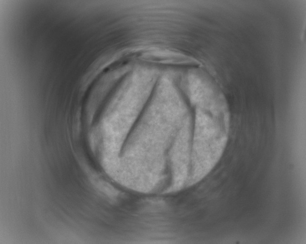 X0000081280194200702082001