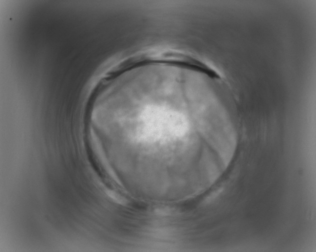 X0000081280199200702082001