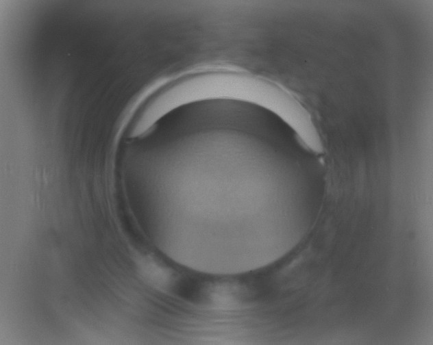 X0000081280200200702082001