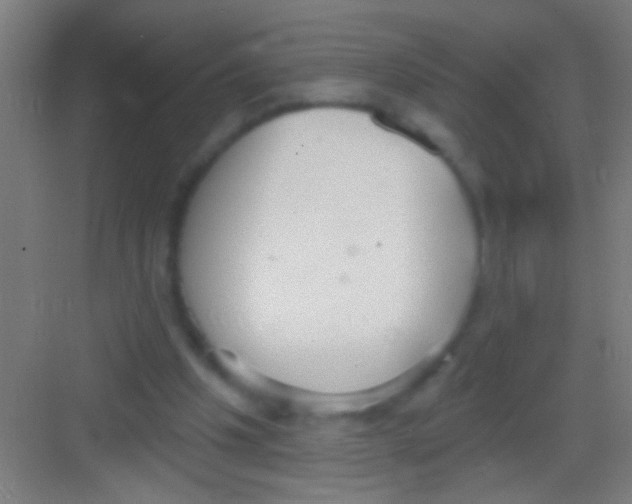 X0000081280201200702082001