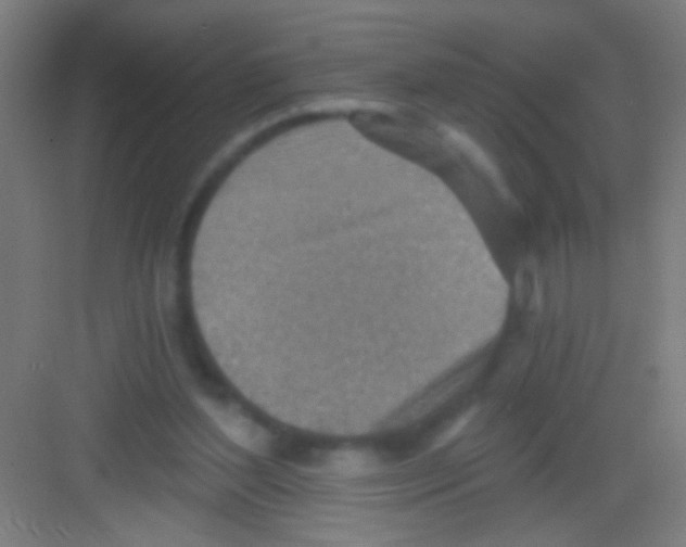 X0000081280204200702082001