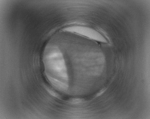 X0000081280205200702082001