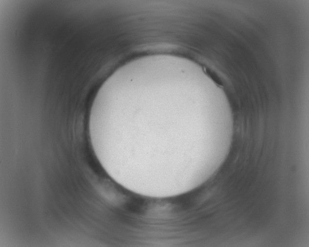 X0000081280206200702082001