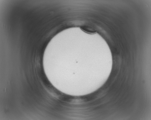 X0000081280212200702082001