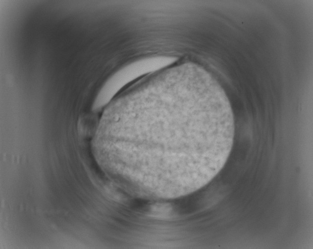 X0000081280214200702082001