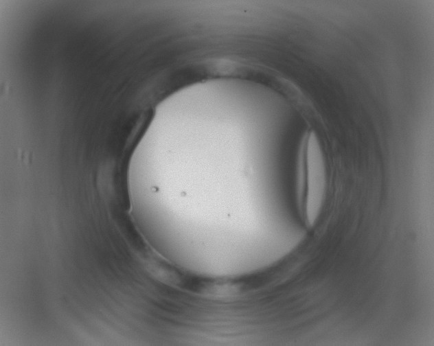 X0000081280217200702082001