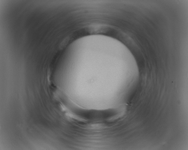 X0000081280219200702082001