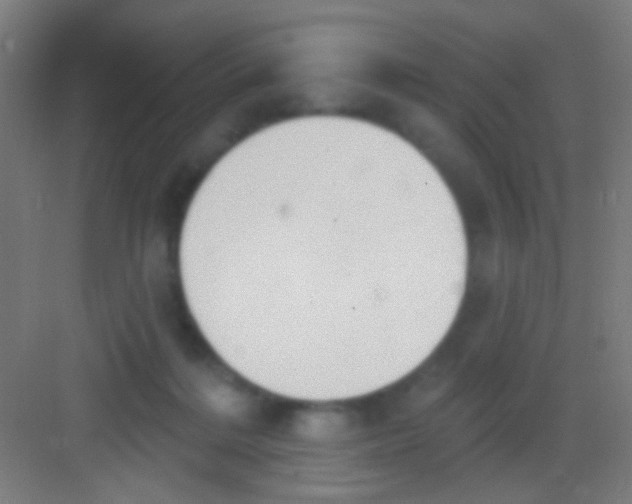 X0000081280220200702082001